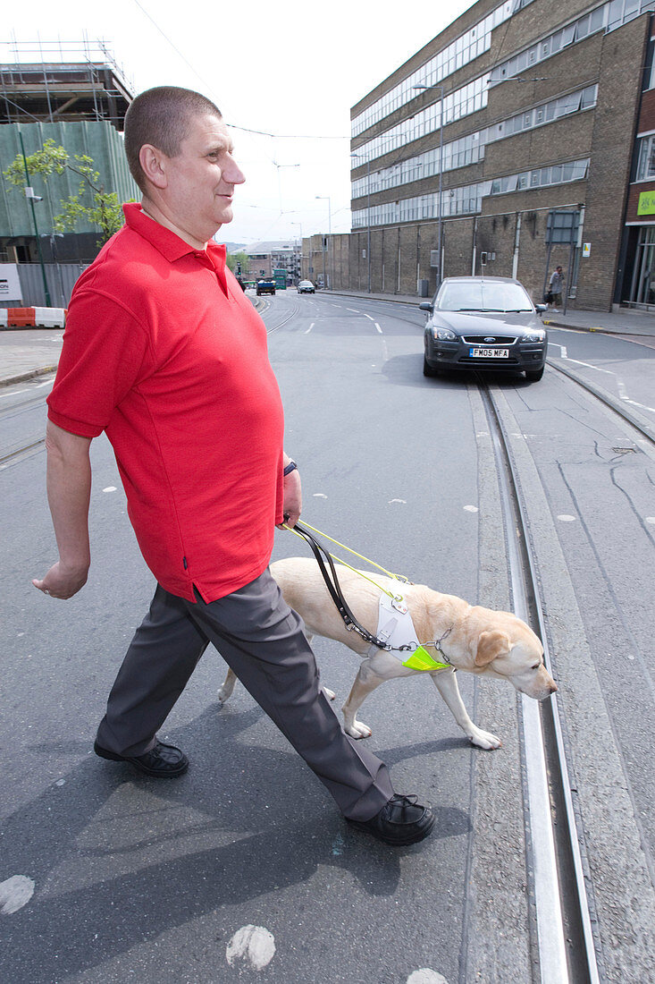 Vision impaired man and guide dog using a pelican crossing