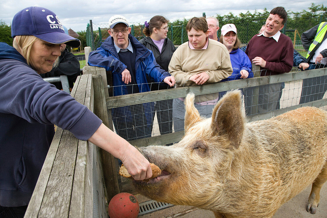 Adults with learning disabilities at an animal centre