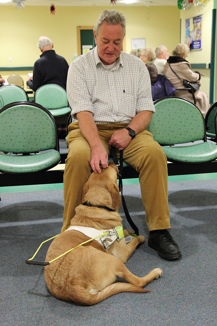 Patient with guide dog in waiting room of eye clinic