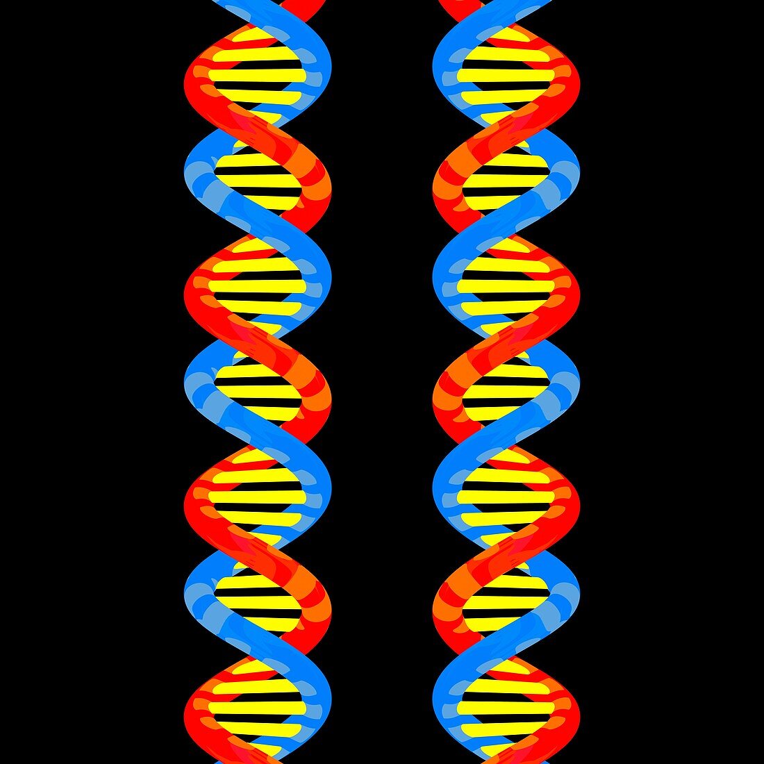 DNA molecules,illustration