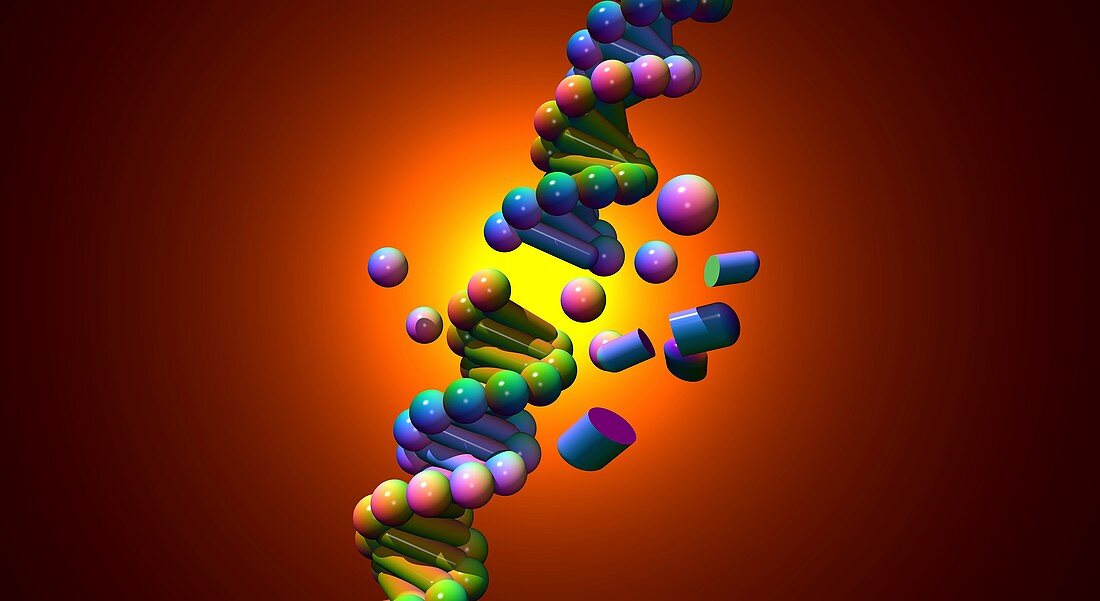 DNA damage,conceptual image