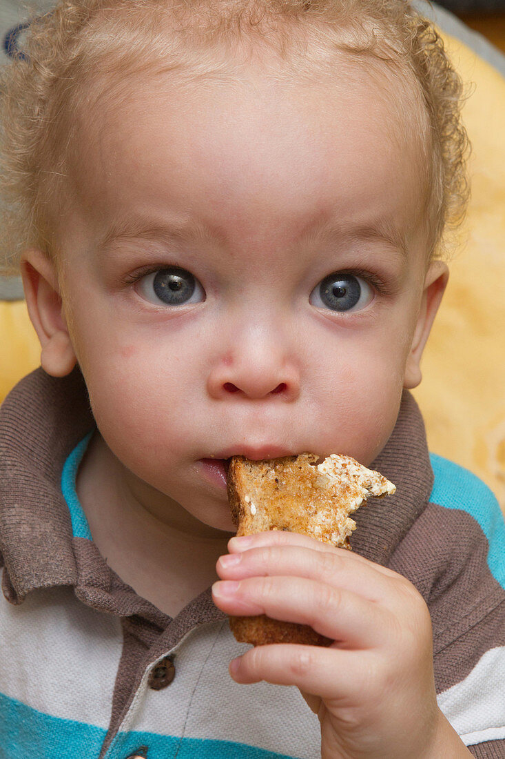 Toddler eating toast