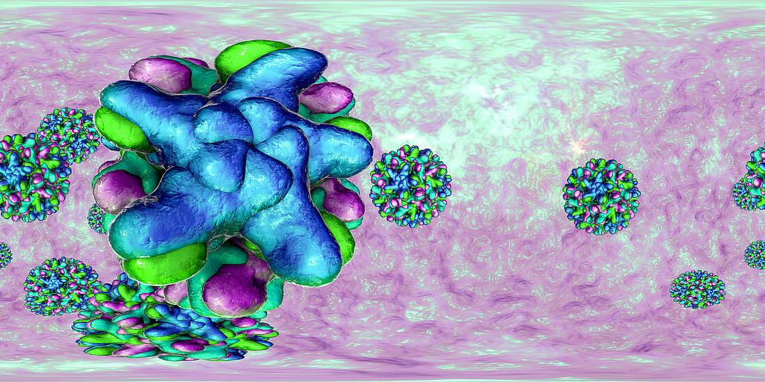 Hepatitis B Virus particles,illustration