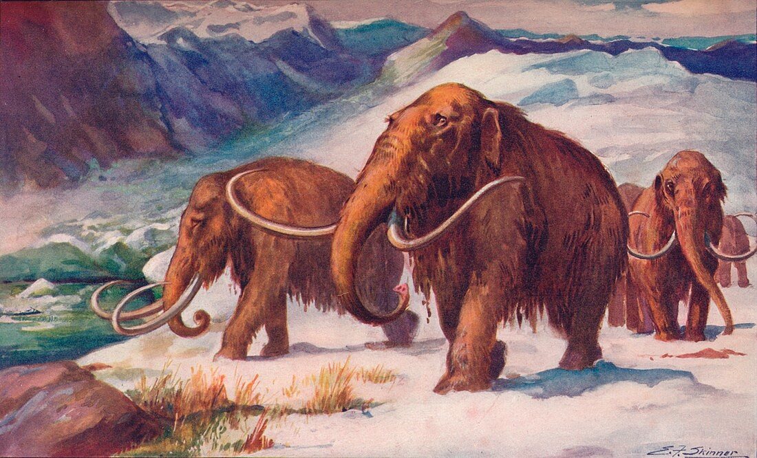 The early Ice Age, 1907