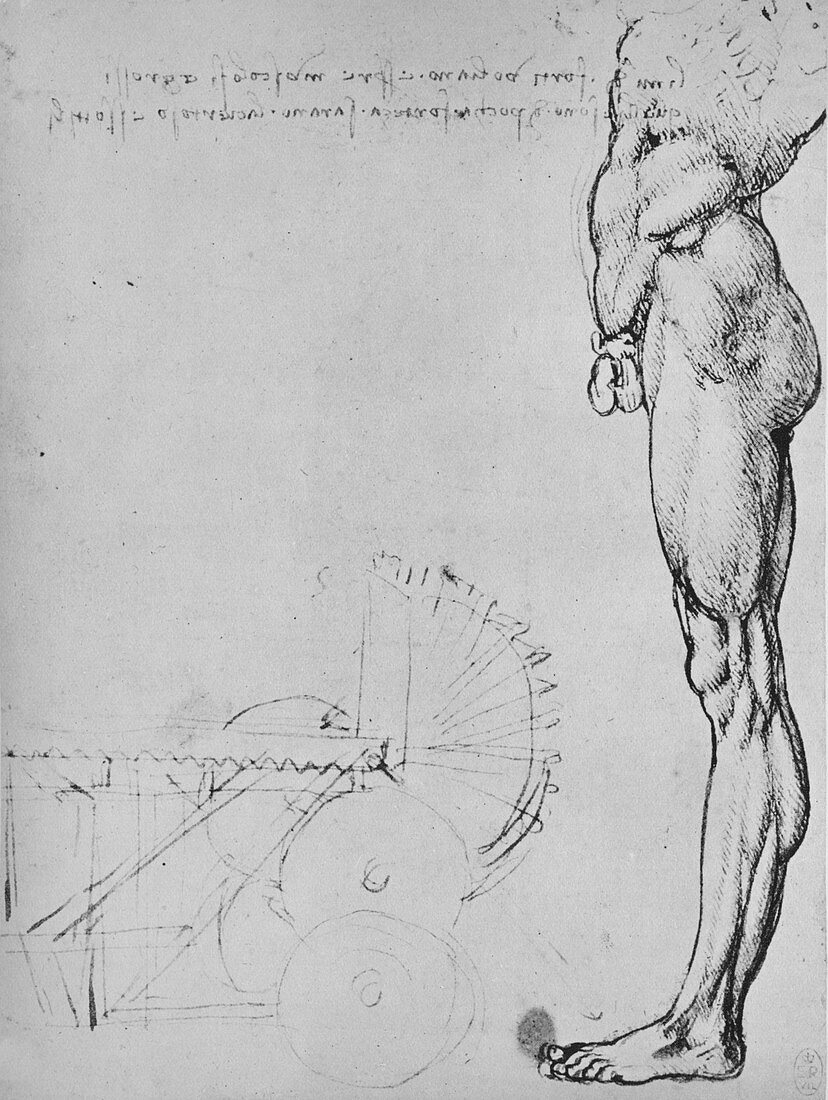 Study of the Lower Half of a Man and of Machinery, c1480