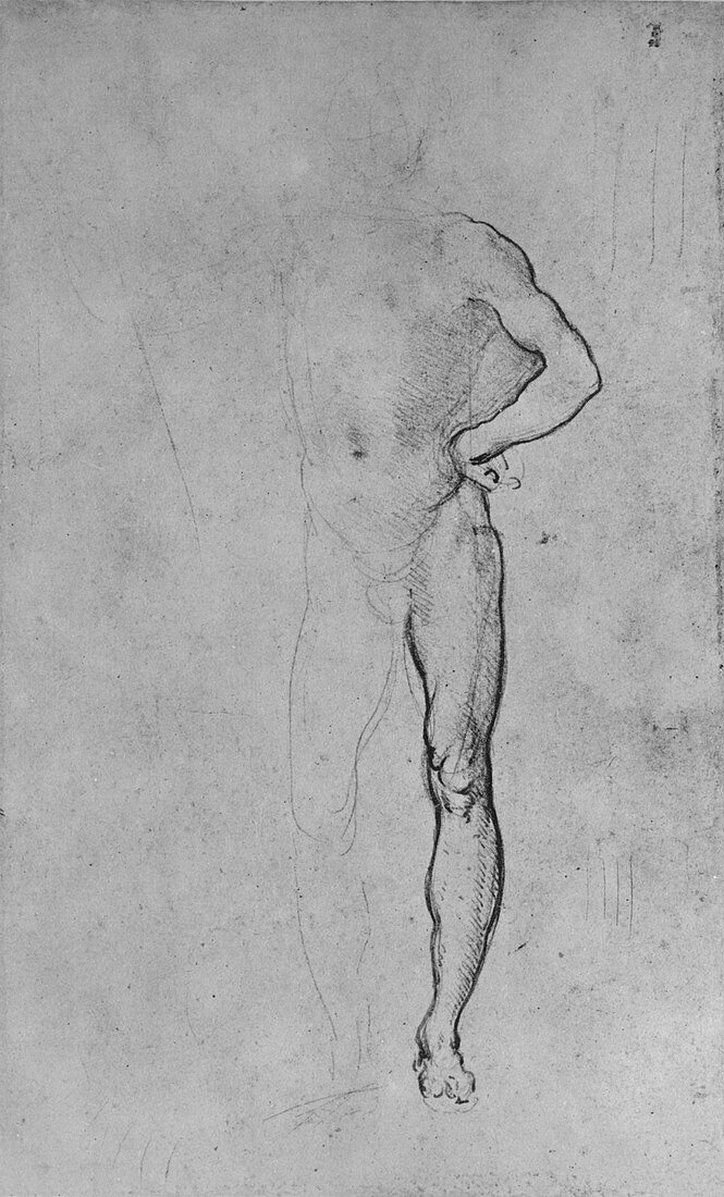 Study of a Nude Man with his Left Hand on His Hip, c1480