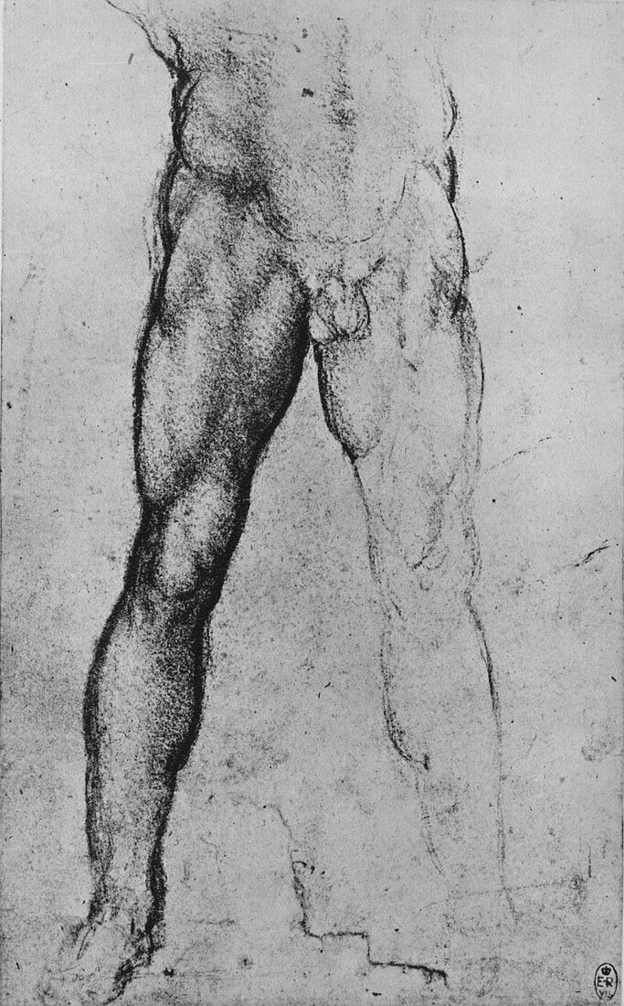 Study of the Lower Half of a Nude Man, c1480