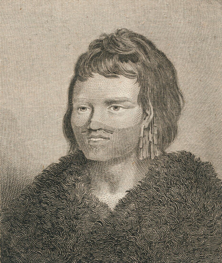A Native of Sandwich Sound, 1784