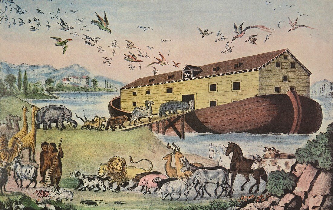 Noah's Ark, 1865