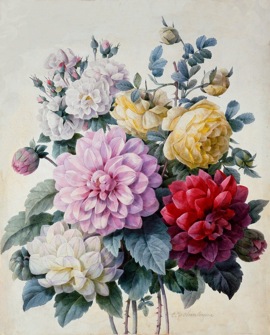 Bouquet of Flowers, Dahlias and Roses, c1830-1840