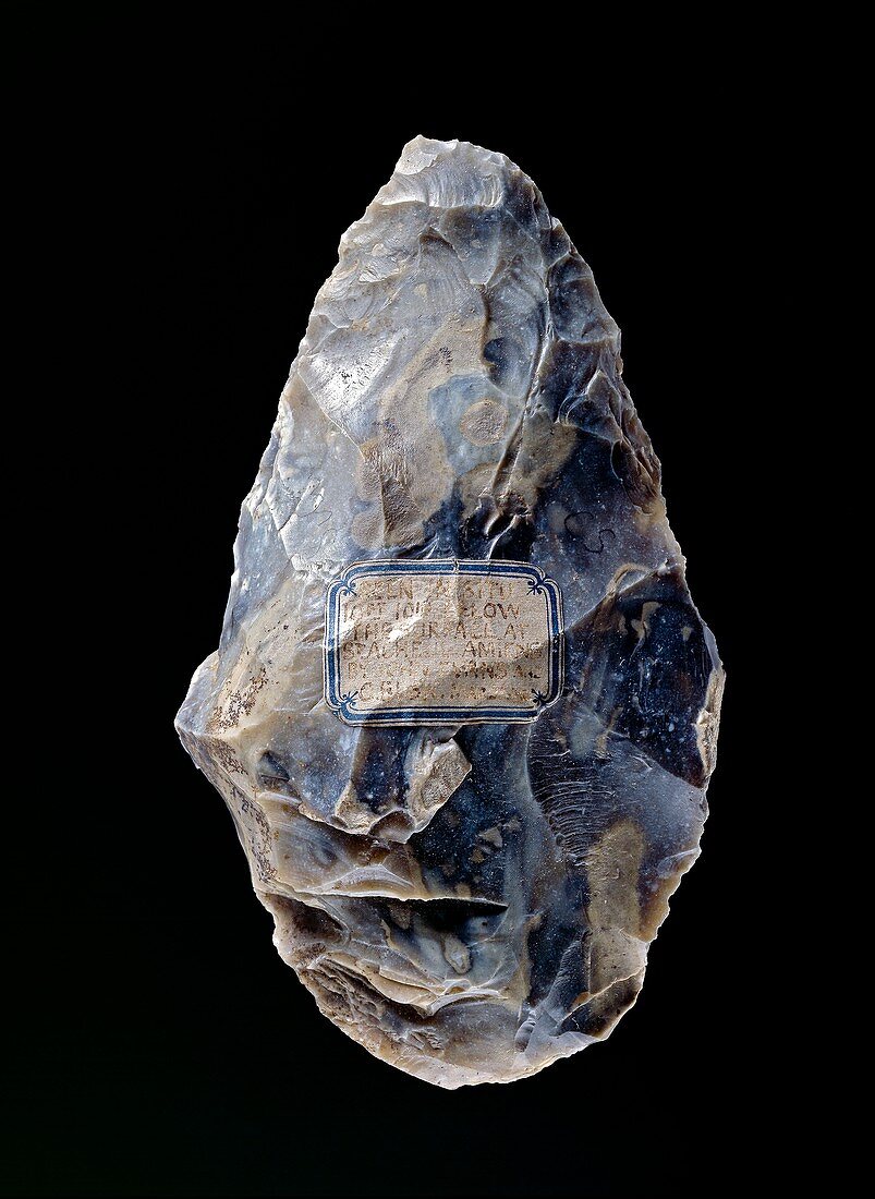 Handaxe, Lower Palaeolithic Period