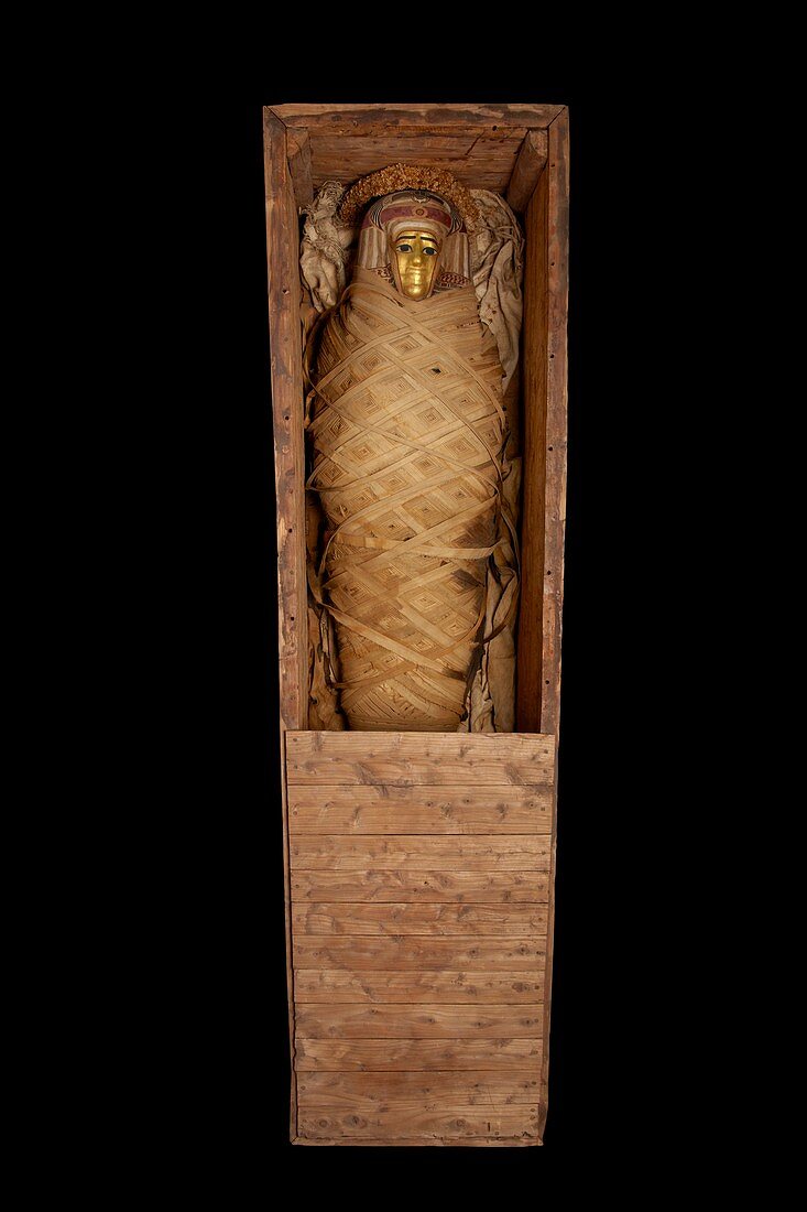 Ptolemaic coffin, mummy with gilt mask and floral garlands