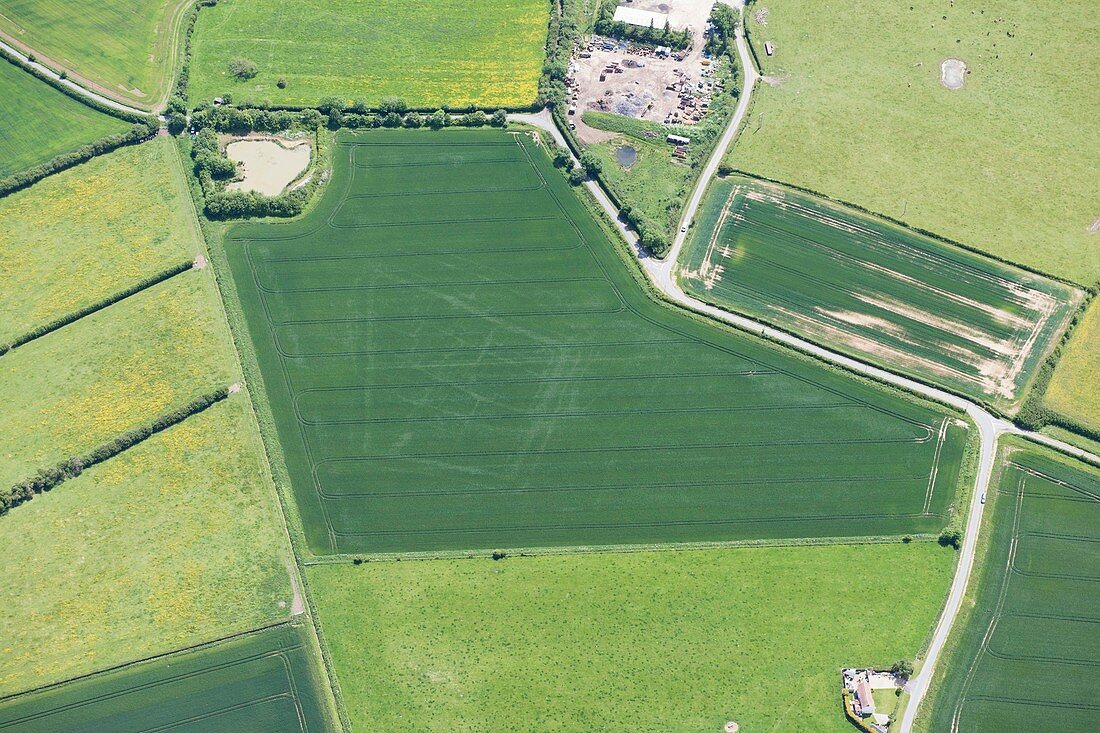 Double ditched enclosure cropmark