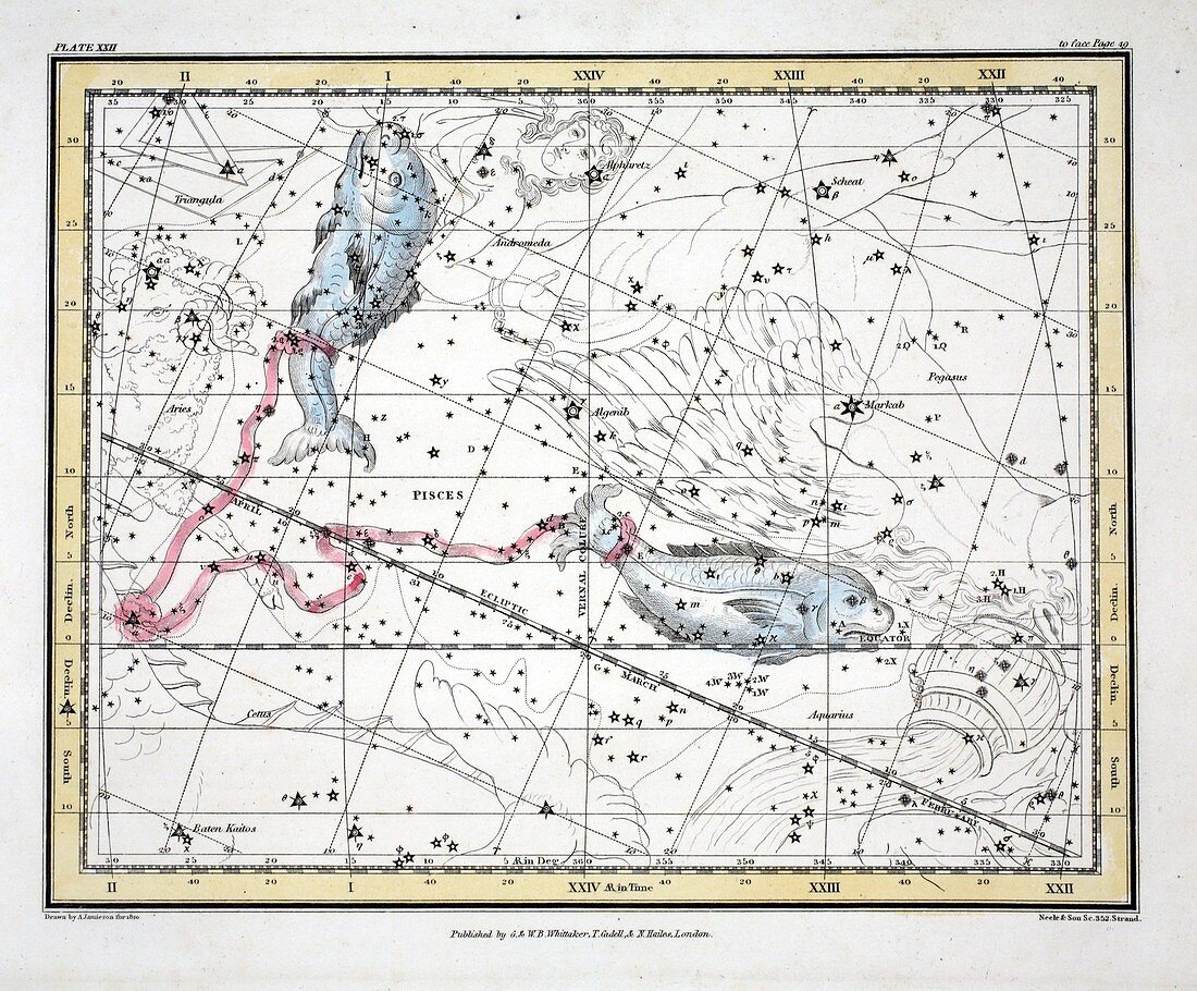The Constellations (Plate XXII) Pisces, 1822