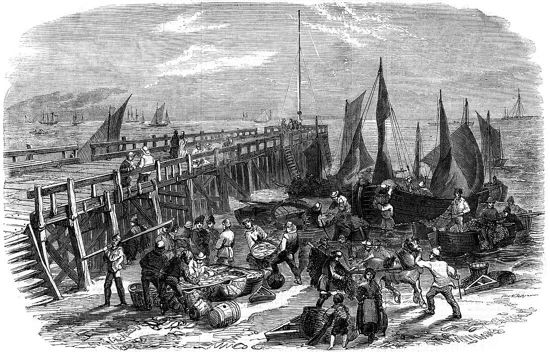 Return of the herring boats, Yarmouth, Isle of Wight, 1856