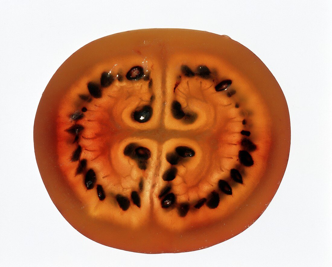Slice of a tamarillo (tree tomato)