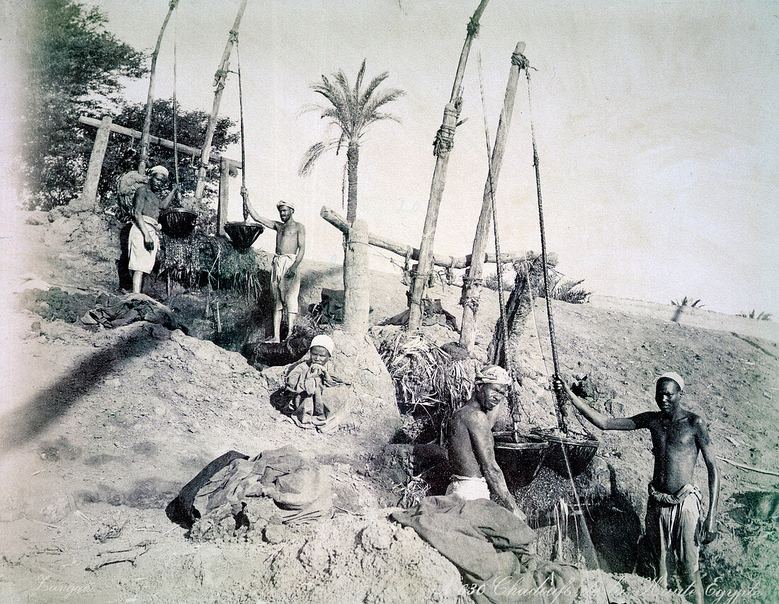 Shadufs in Upper Egypt, late 19th century