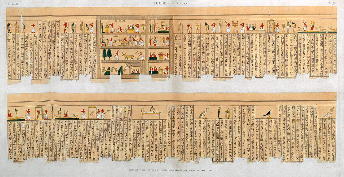 Manuscript with hieroglyphics, from a tomb at Thebes, Egypt