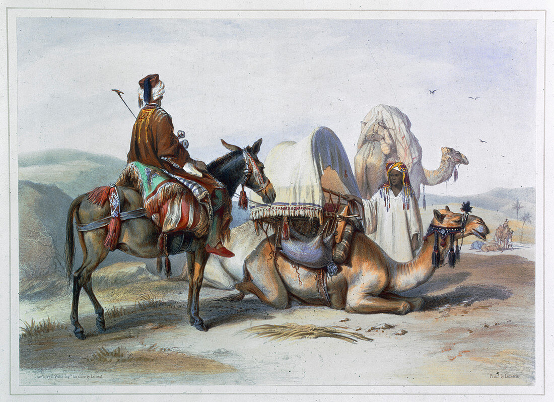 Kafila with a camel bearing a hodesh, 1848
