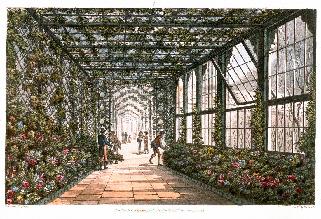 Corridor of a conservatory, 1808