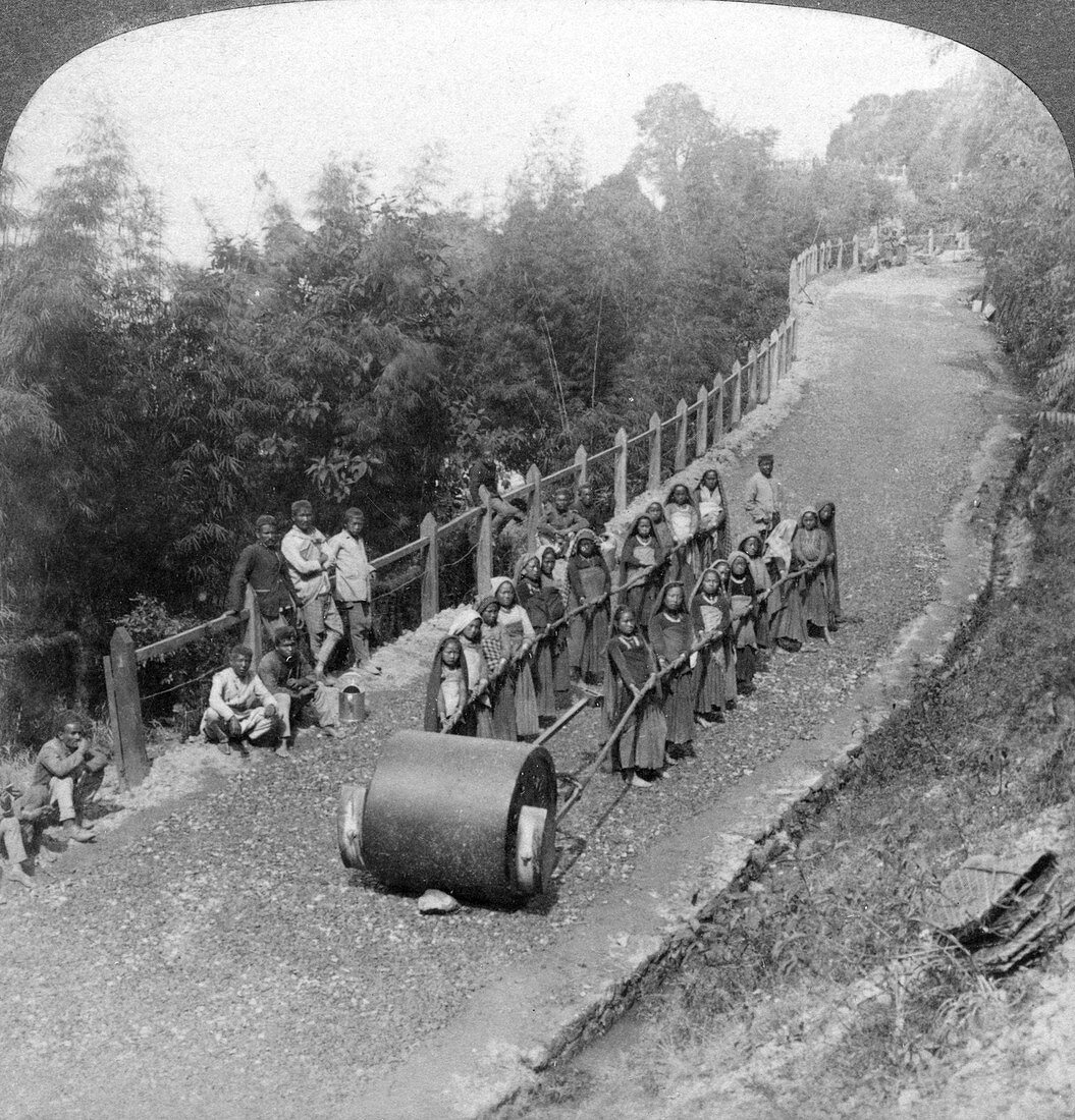 A woman work team on the Darjeeling highway, India, 1903