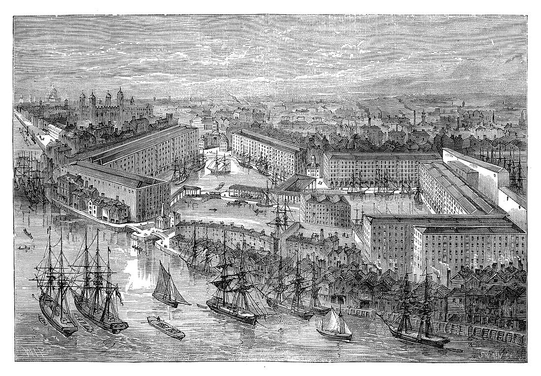 St Katherine's Docks, London, late 19th century