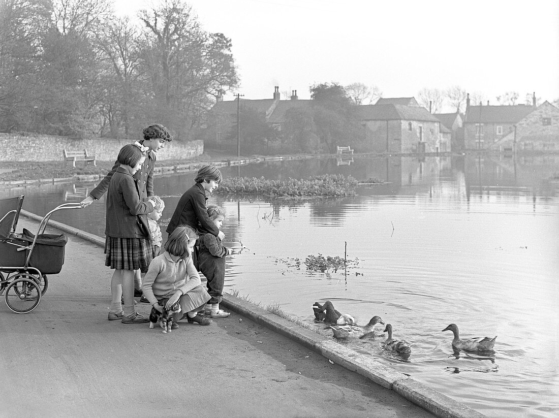 Village duck pond scene, South Yorkshire, 1961