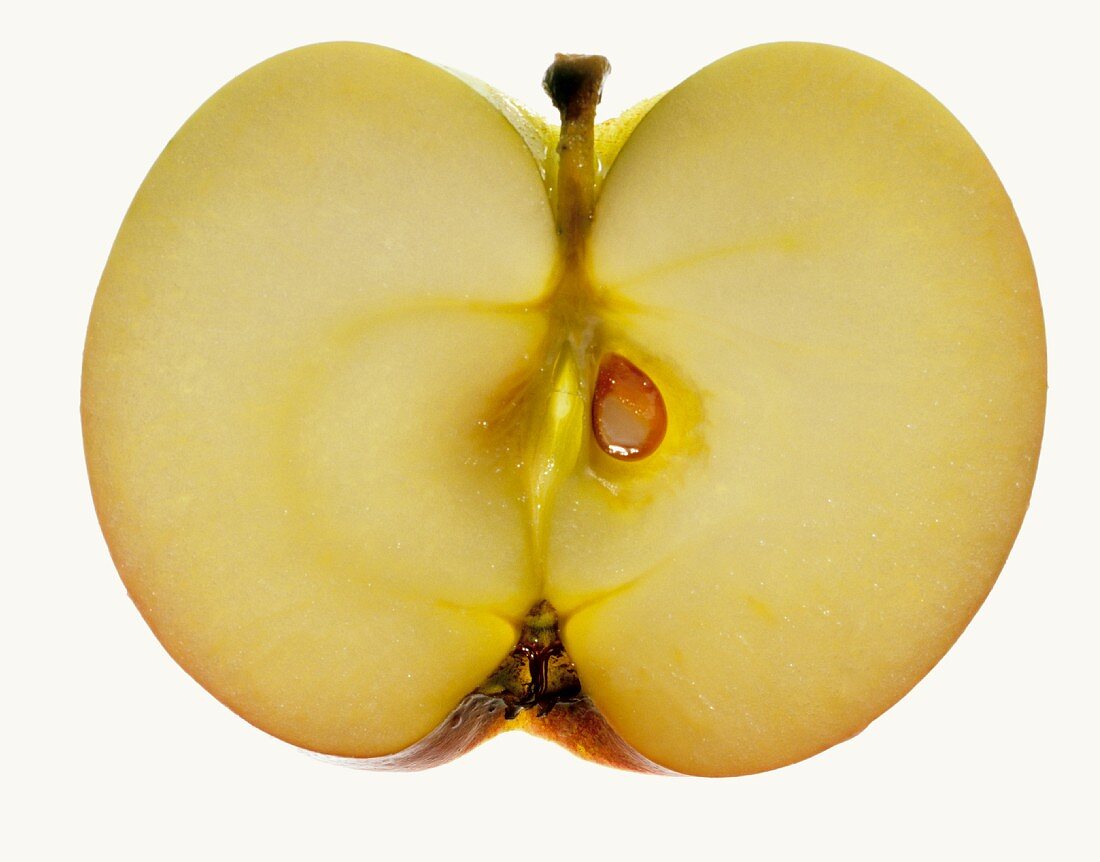 Apfelscheibe mit Kern