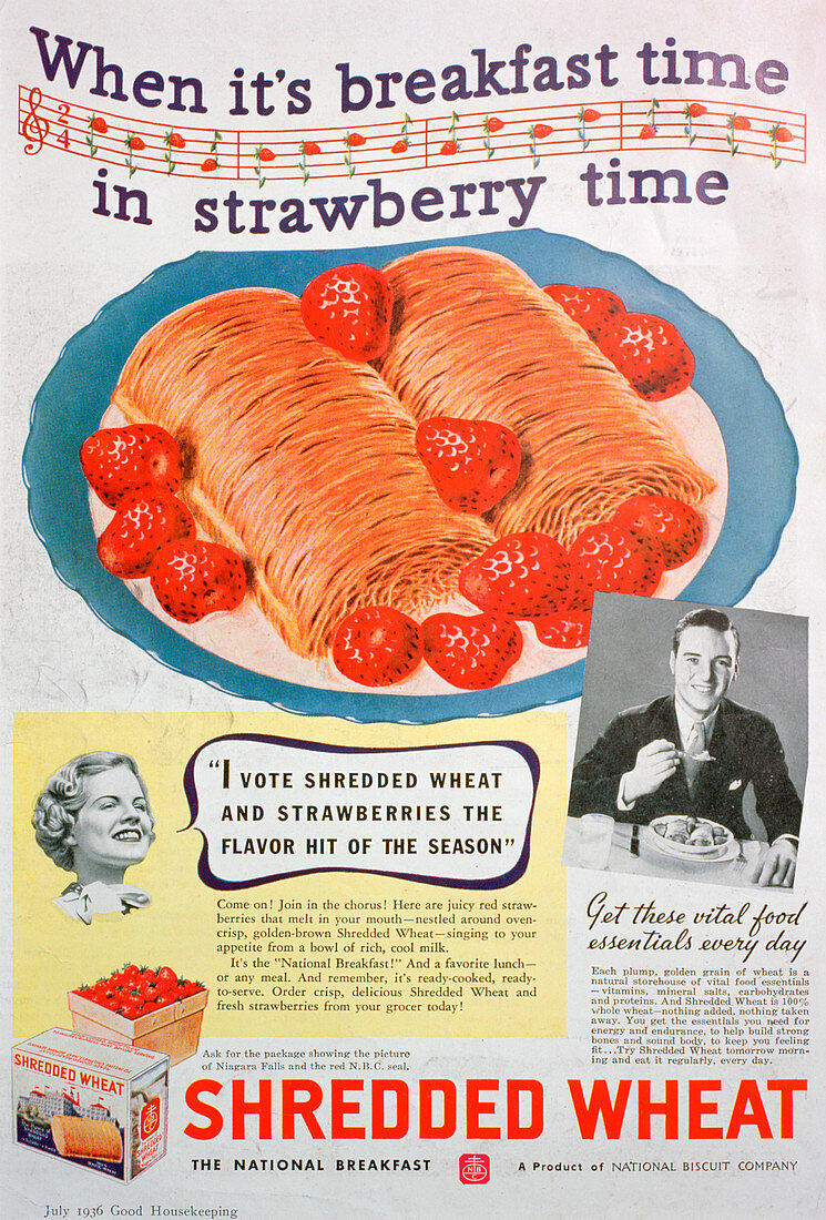 Advert for Shredded Wheat, 1936