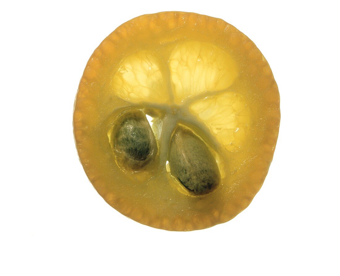 Scheibe einer Kumquat (quer aufgeschnitten, mit Kernen)