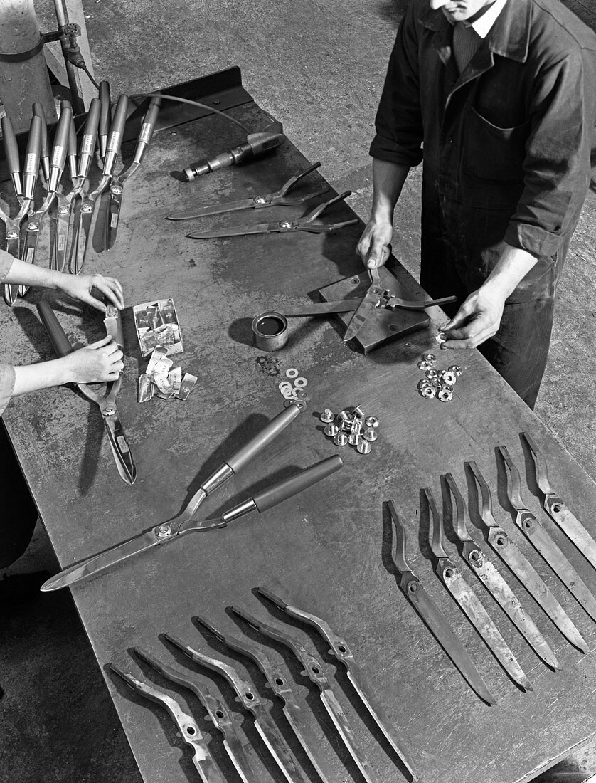 Assembling garden shears, Sheffield, South Yorkshire, 1965