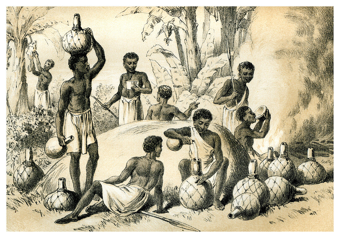 Natives Making Pombe, 1883
