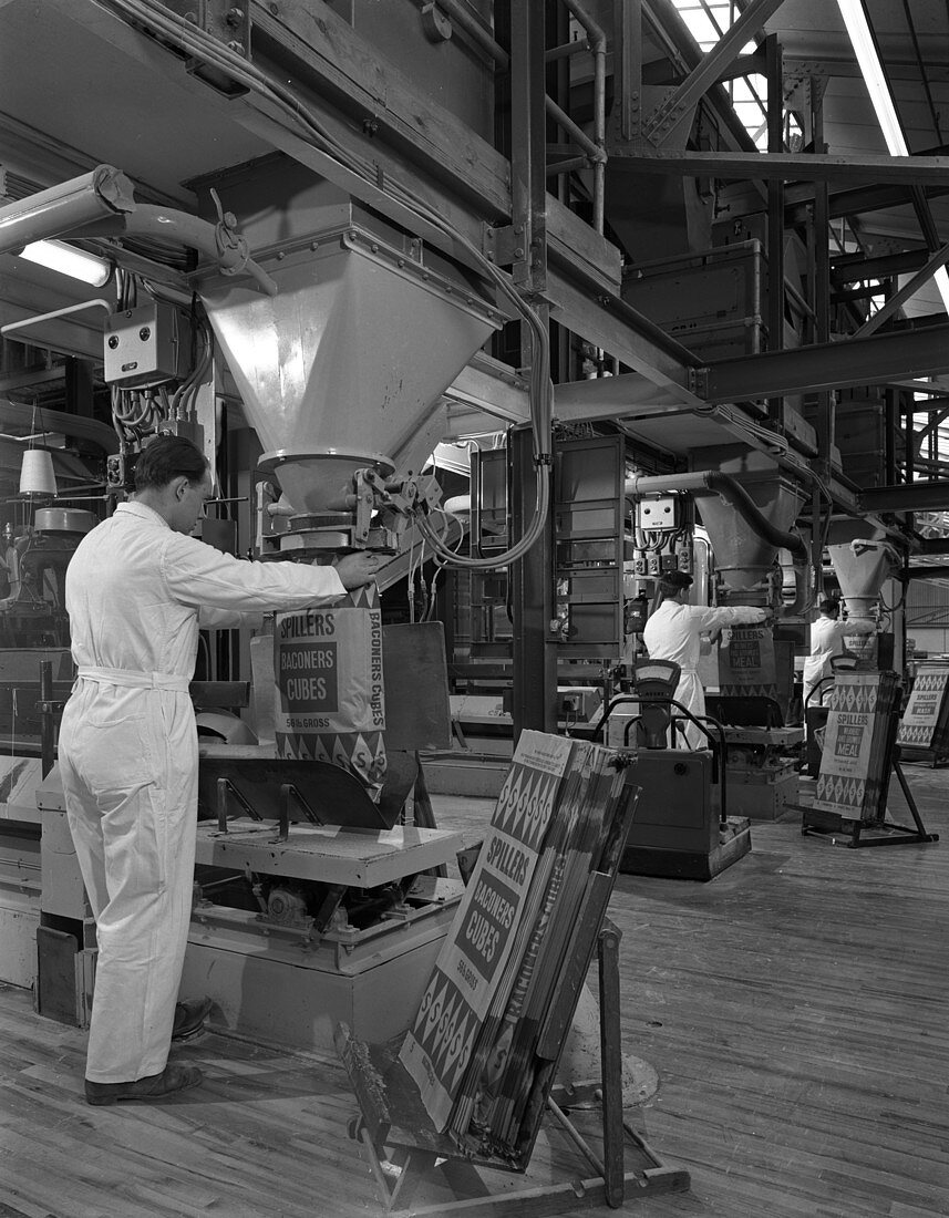 Filling bags of animal feed, 1963