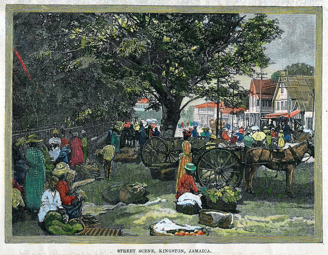 Street scene, Kingston, Jamaica, c1880
