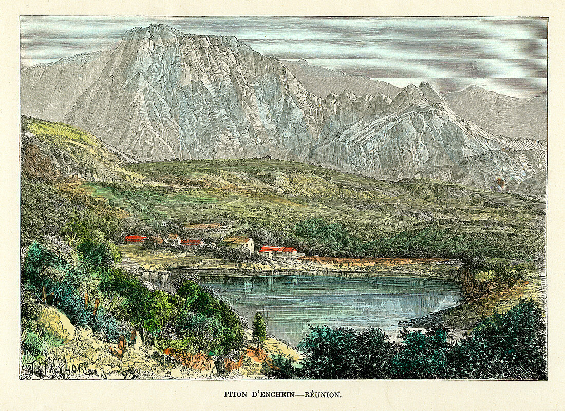 Piton d' Enchein, Reunion, c1880
