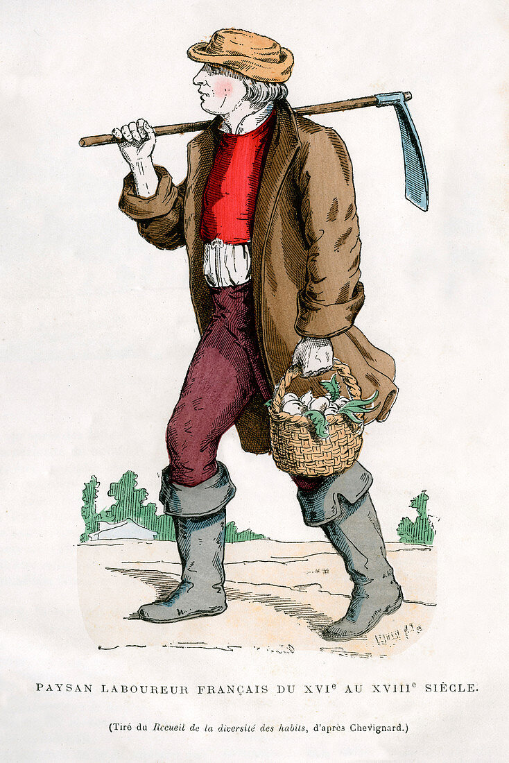 French peasant farm labourer, 16th century