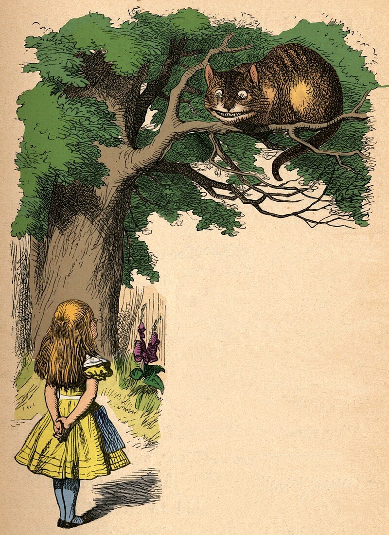 Alice and the Cheshire Cat, 1889