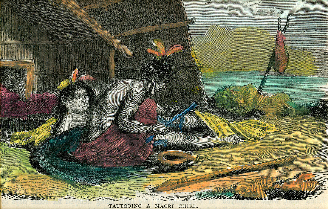 Tatooing a Maori chief'