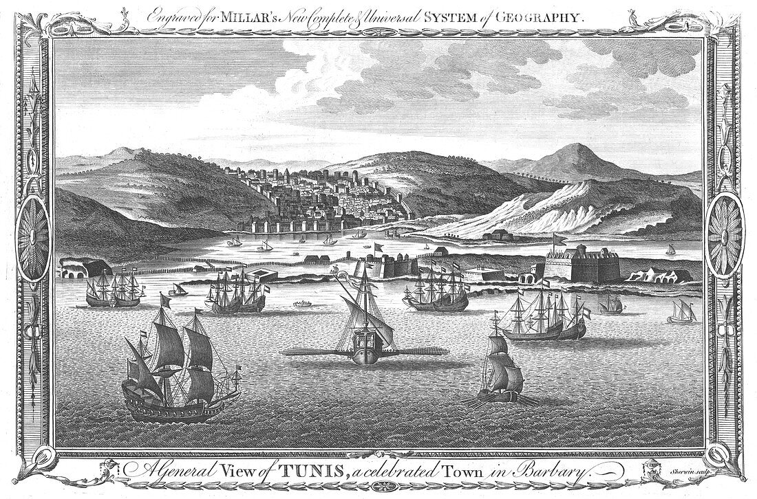 A General View of Tunis, a celebrated Town in Barbary, 1782