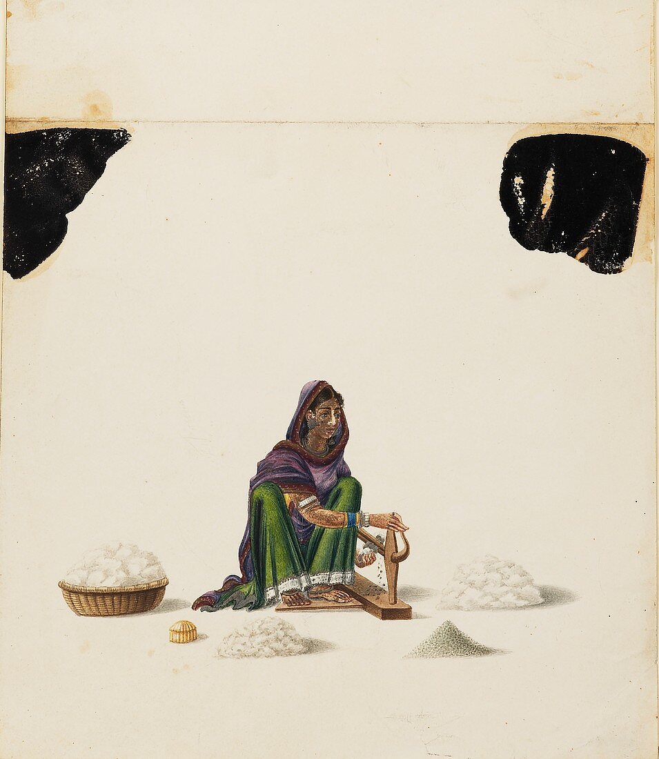 Female cotton ginner, 1840-1850