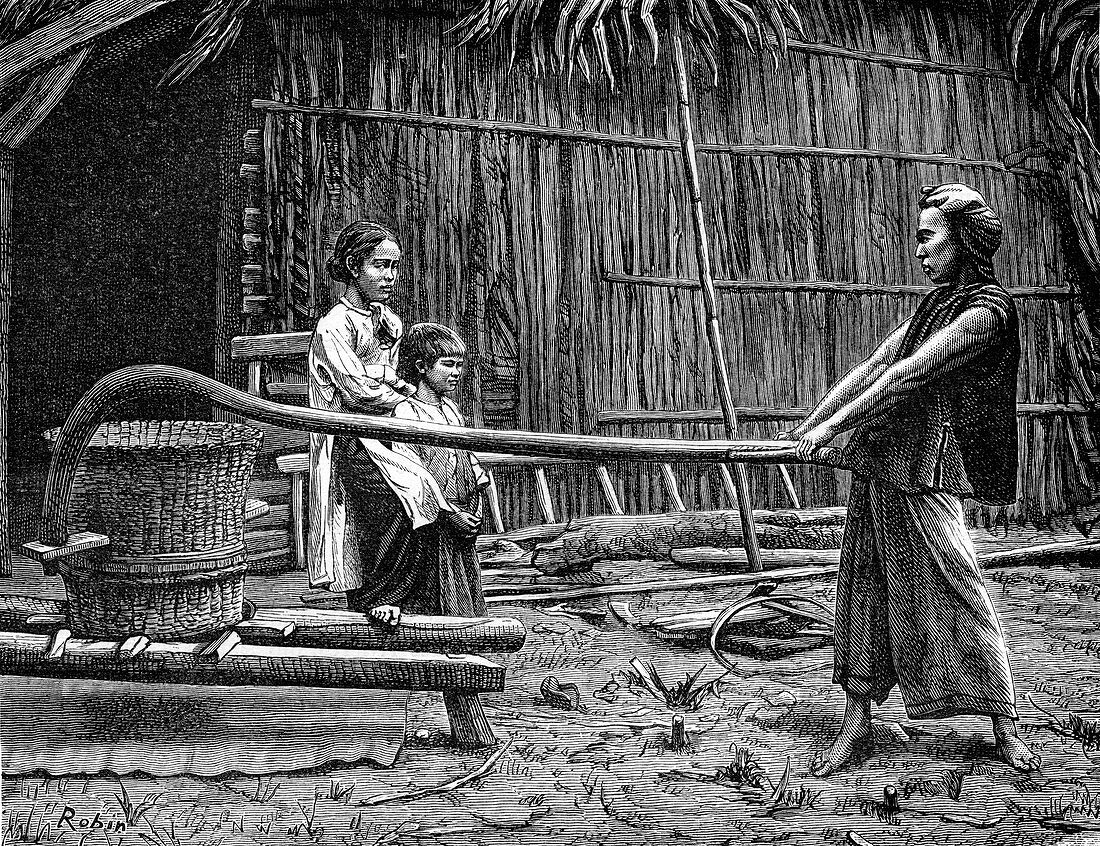 Rice mill, Indochina, 19th century