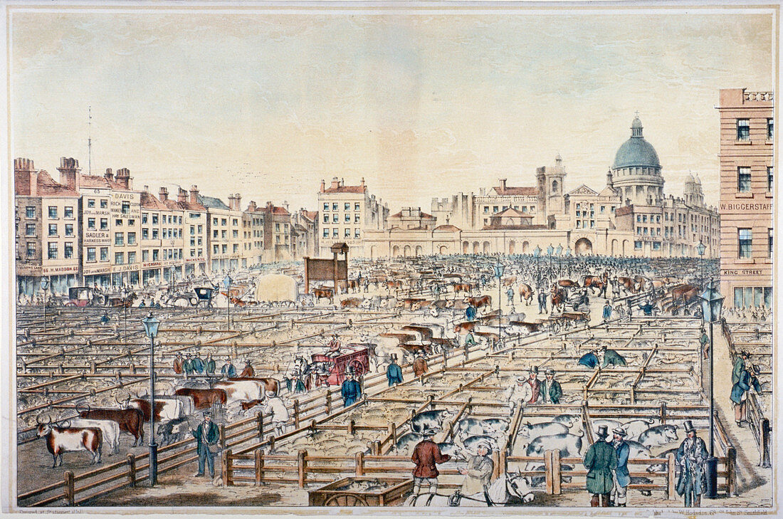 Smithfield Market, City of London, 1855