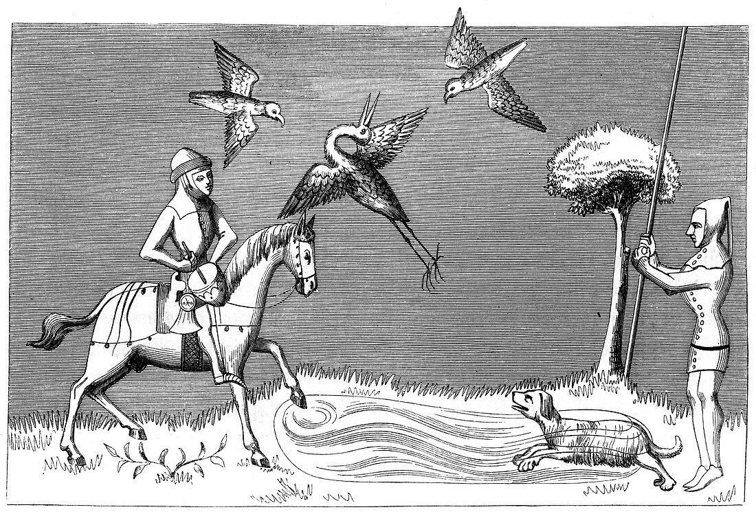 Heron hawking, 14th century