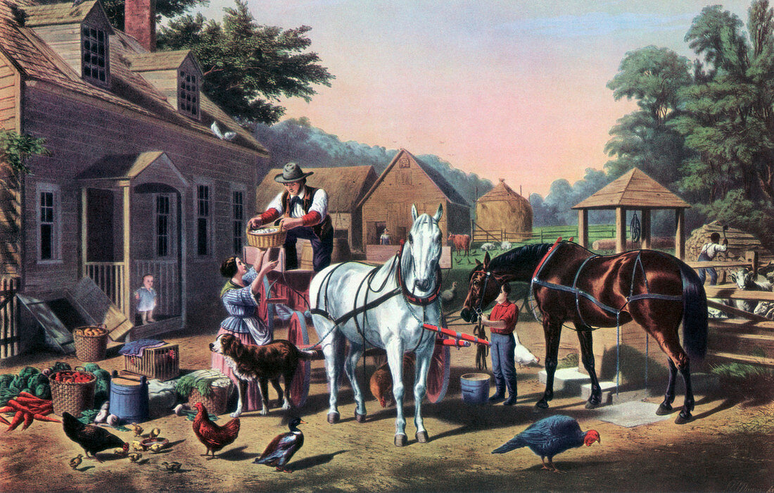 Preparing for Market', 1856