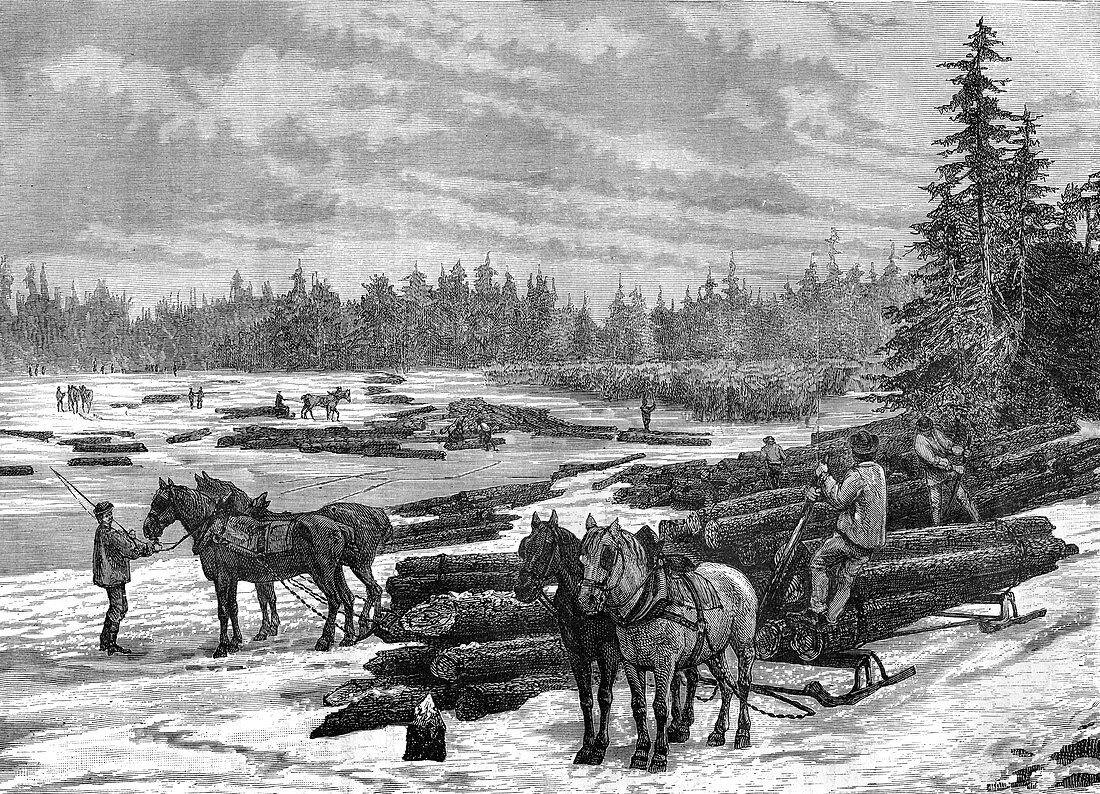 Canadian loggers, 19th century