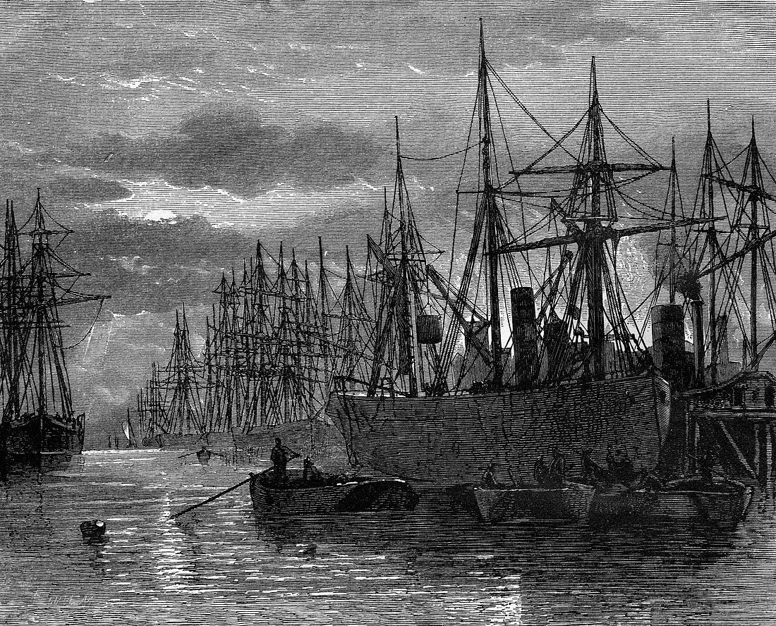 The River Thames, 19th century