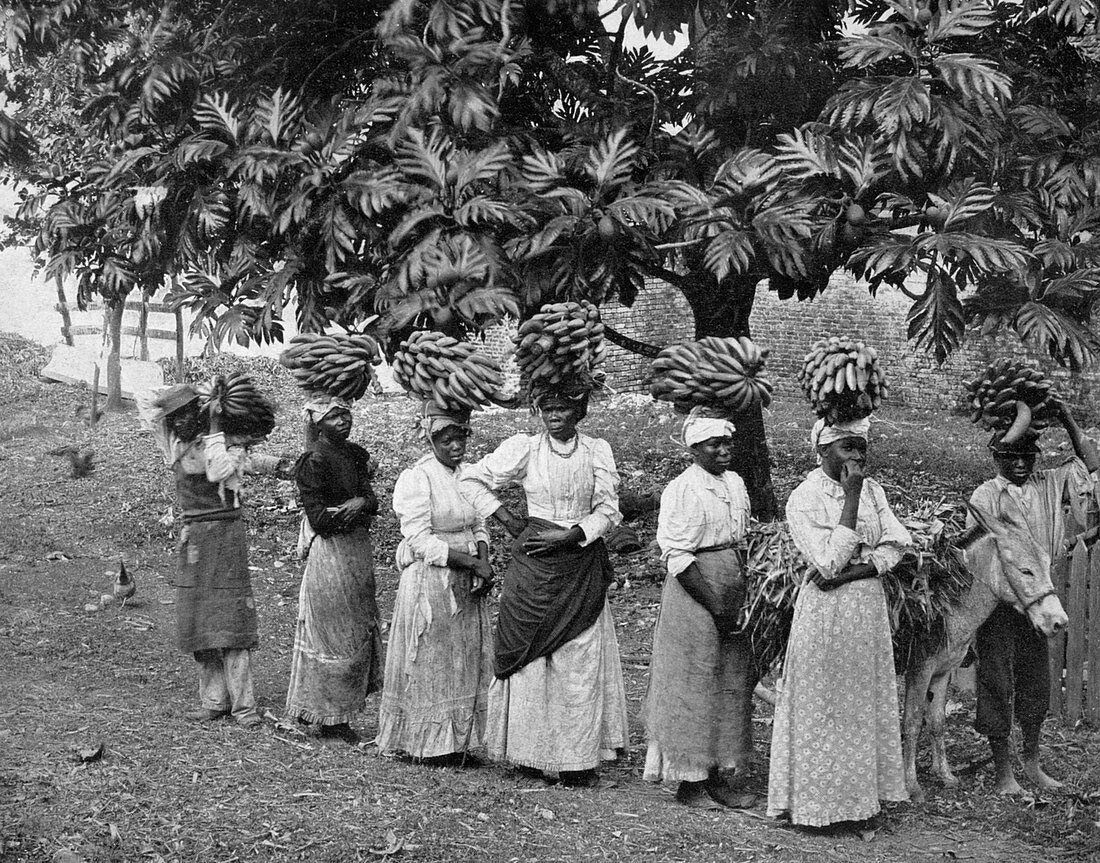 Banana carriers, Jamaica, c1905