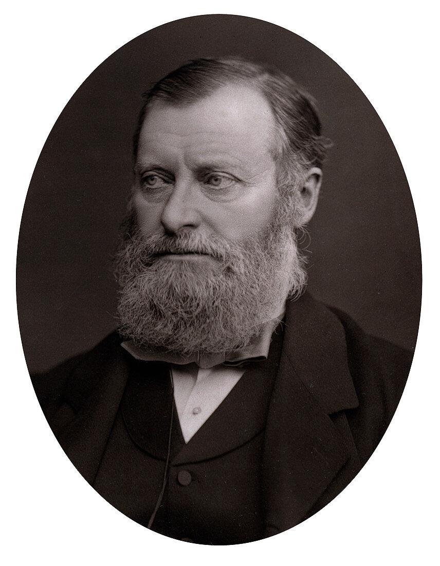 William Edward Forster (1818-1886), late 19th century