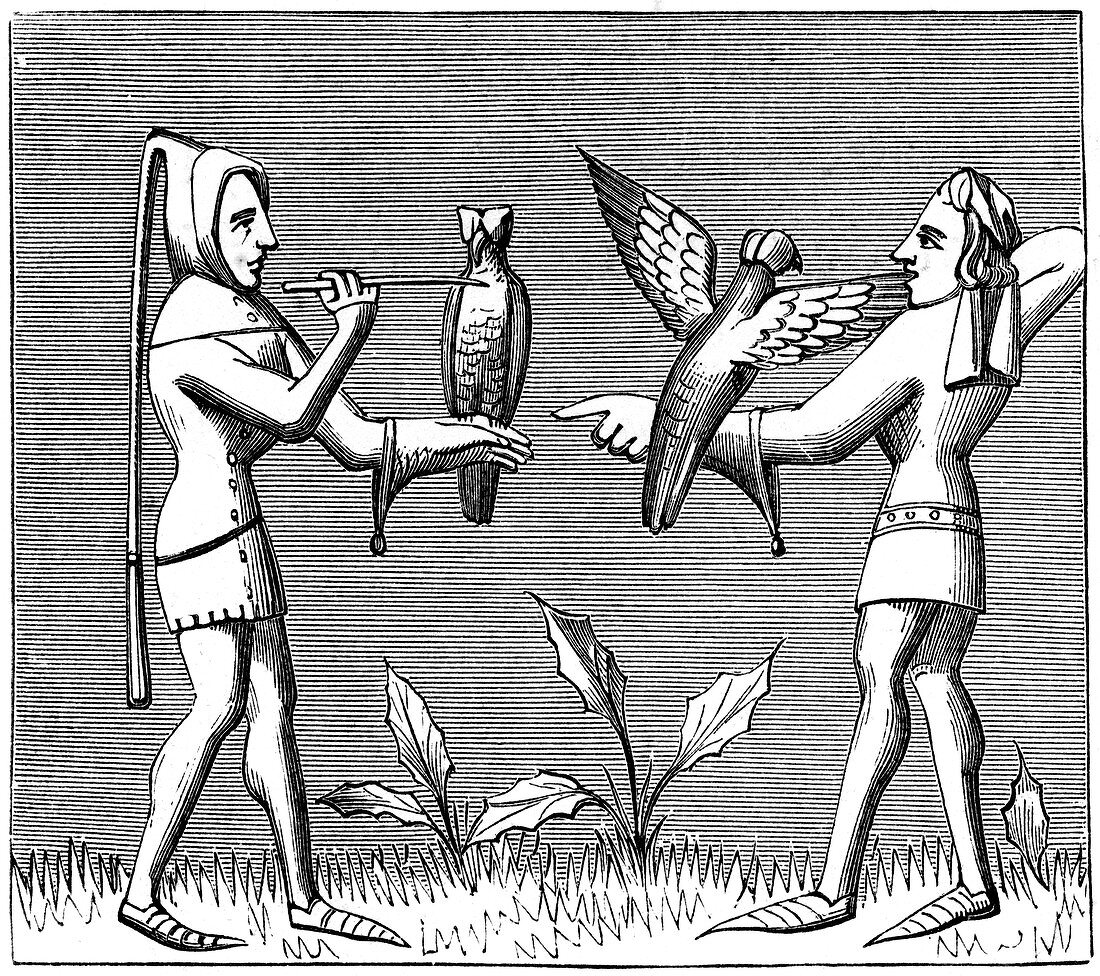 Falconers dressing their birds, 14th century