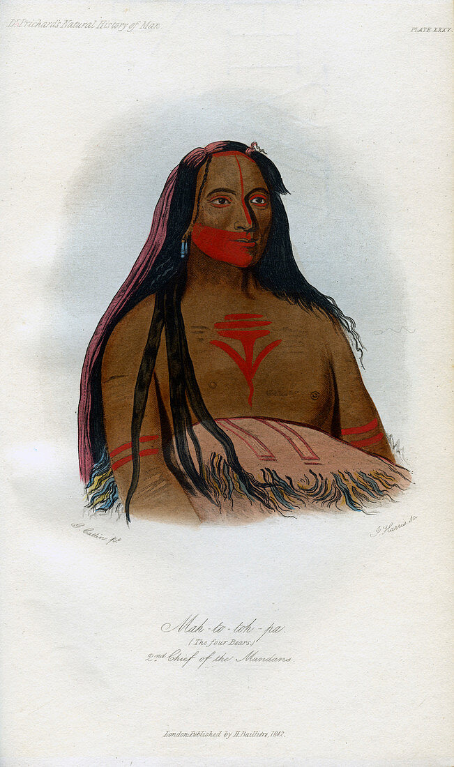 Mah-to-toh-pa, 2nd Chief of the Mandans', 1848